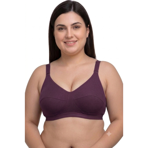 PACK OF 2 , DAILYWEAR , NON PADDED OR BREATHABLE BRA LAVENDER , PINKISH - Lavender